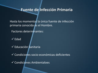 Fuente de Infección Primaria
Hasta los momentos la única fuente de infección
primaria conocida es el Hombre.
Factores determinantes:
 Edad
 Educación Sanitaria
 Condiciones socio-económicas deficientes
 Condiciones Ambientaloes
 