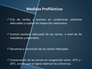 Medidas Profilácticas
 Cría de cerdos y bovinos en condiciones sanitarias
adecuadas y sujetos de inspección veterinaria.
 Control sanitario adecuado de las carnes, a nivel de los
mataderos y expendios.
 Decomiso y cremación de las carnes infectadas.
 Conservación de las carnes en congelación entre -10°C y -
20°C, con lo cual se logran destruir los cisticercos.
 