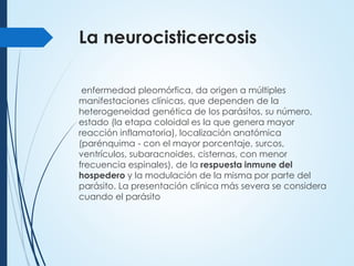 La neurocisticercosis
enfermedad pleomórfica, da origen a múltiples
manifestaciones clínicas, que dependen de la
heterogeneidad genética de los parásitos, su número,
estado (la etapa coloidal es la que genera mayor
reacción inflamatoria), localización anatómica
(parénquima - con el mayor porcentaje, surcos,
ventrículos, subaracnoides, cisternas, con menor
frecuencia espinales), de la respuesta inmune del
hospedero y la modulación de la misma por parte del
parásito. La presentación clínica más severa se considera
cuando el parásito
 