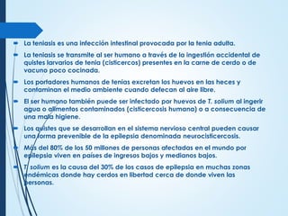  La teniasis es una infección intestinal provocada por la tenia adulta.
 La teniasis se transmite al ser humano a través de la ingestión accidental de
quistes larvarios de tenia (cisticercos) presentes en la carne de cerdo o de
vacuno poco cocinada.
 Los portadores humanos de tenias excretan los huevos en las heces y
contaminan el medio ambiente cuando defecan al aire libre.
 El ser humano también puede ser infectado por huevos de T. solium al ingerir
agua o alimentos contaminados (cisticercosis humana) o a consecuencia de
una mala higiene.
 Los quistes que se desarrollan en el sistema nervioso central pueden causar
una forma prevenible de la epilepsia denominada neurocisticercosis.
 Más del 80% de los 50 millones de personas afectadas en el mundo por
epilepsia viven en países de ingresos bajos y medianos bajos.
 T. solium es la causa del 30% de los casos de epilepsia en muchas zonas
endémicas donde hay cerdos en libertad cerca de donde viven las
personas.
 