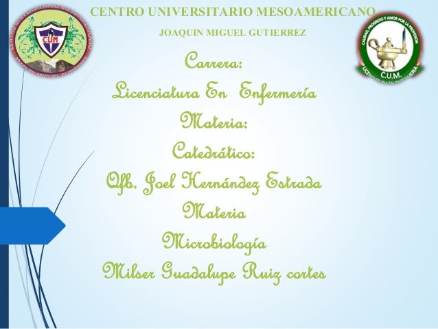Tenia solium