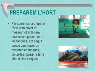 PREPAREM L’HORT
• Per començar a preparar
l’hort vam haver de
mesurar tot el terreny
que volíem posar per a
les tanques. Tot seguit
també vam haver de
mesurar les tanques,
pintar-les i posar la terra
dins de les tanques
 