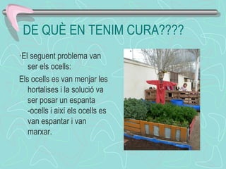 DE QUÈ EN TENIM CURA????
·El seguent problema van
ser els ocells:
Els ocells es van menjar les
hortalises i la solució va
ser posar un espanta
-ocells i així els ocells es
van espantar i van
marxar.
 