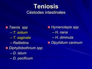 Teniosis
Céstodes intestinales
Taenia spp
– T. solium
– T. saginata
– Raillietina
Diphyllobothrium spp
– D. latum
– D. pacificum
Hymenolepis spp
– H. nana
– H. diminuta
Dipylidium caninum
 