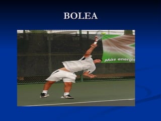 BOLEA 