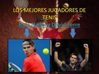 LOS MEJORES JUGADORES DE
TENIS
Rafa Nadal y David Ferre
 