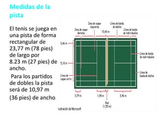 Medidas de la
pista
El tenis se juega en
una pista de forma
rectangular de
23,77 m (78 pies)
de largo por
8.23 m (27 pies) de
ancho.
Para los partidos
de dobles la pista
será de 10,97 m
(36 pies) de ancho.
 