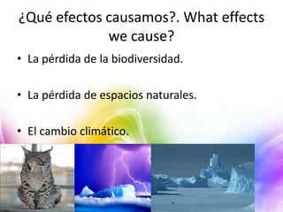 ¿Qué efectos causamos?. What effects
we cause?
• La pérdida de la biodiversidad.
• La pérdida de espacios naturales.
• El cambio climático.

 