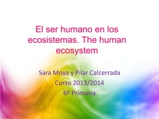 El ser humano en los
ecosistemas. The human
ecosystem
Sara Moya y Pilar Calcerrada
Curso 2013/2014
6º Primaria

 