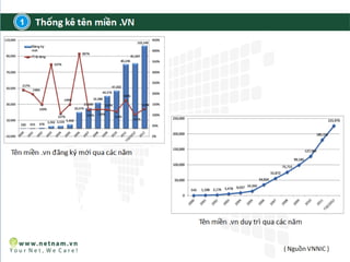 Bảo vệ thương hiệu với tên miền VN