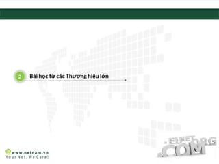 Bảo vệ thương hiệu với tên miền VN