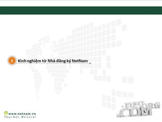 Bảo vệ thương hiệu với tên miền VN