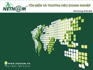 Bảo vệ thương hiệu với tên miền VN
