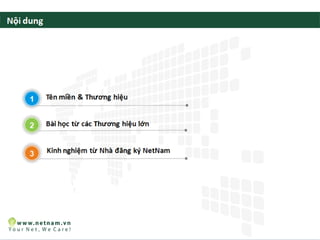 Bảo vệ thương hiệu với tên miền VN