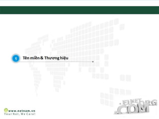Bảo vệ thương hiệu với tên miền VN