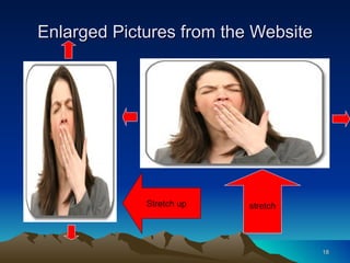 Enlarged Pictures from the Website stretch Stretch up 