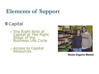 Capital
o The Right Kind of
Capital at The Right
Stage of the
Business Life Cycle
o Access to Capital
Resources
Roots Organic Market
Elements of Support
 