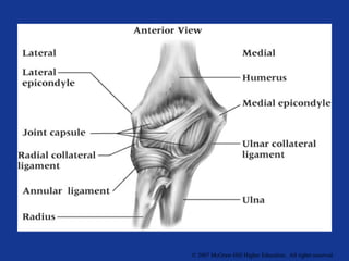 © 2007 McGraw-Hill Higher Education. All rights reserved. 
 