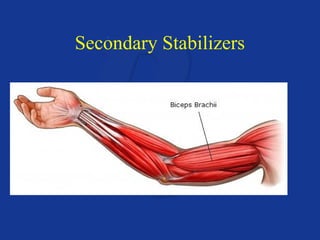 Secondary Stabilizers 
 