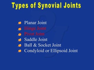 • Planar Joint 
• Hinge Joint 
• Pivot Joint 
• Saddle Joint 
• Ball & Socket Joint 
• Condyloid or Ellipsoid Joint 
 
