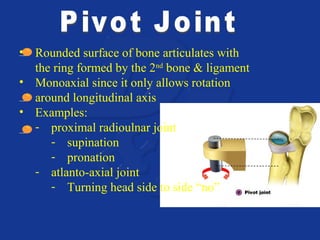 • Rounded surface of bone articulates with 
the ring formed by the 2nd bone & ligament 
• Monoaxial since it only allows rotation 
around longitudinal axis 
• Examples: 
- proximal radioulnar joint 
- supination 
- pronation 
- atlanto-axial joint 
- Turning head side to side “no” 
 