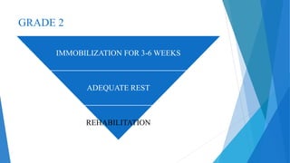 GRADE 2
IMMOBILIZATION FOR 3-6 WEEKS
ADEQUATE REST
REHABILITATION
 