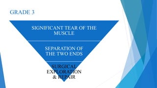 GRADE 3
SIGNIFICANT TEAR OF THE
MUSCLE
SEPARATION OF
THE TWO ENDS
SURGICAL
EXPLORATION
& REPAIR
 