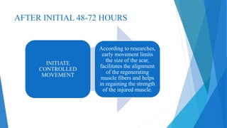 AFTER INITIAL 48-72 HOURS
INITIATE
CONTROLLED
MOVEMENT
According to researches,
early movement limits
the size of the scar,
facilitates the alignment
of the regenerating
muscle fibers and helps
in regaining the strength
of the injured muscle.
 