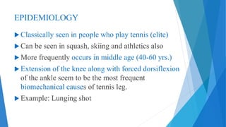 EPIDEMIOLOGY
 Classically seen in people who play tennis (elite)
 Can be seen in squash, skiing and athletics also
 More frequently occurs in middle age (40-60 yrs.)
 Extension of the knee along with forced dorsiflexion
of the ankle seem to be the most frequent
biomechanical causes of tennis leg.
 Example: Lunging shot
 