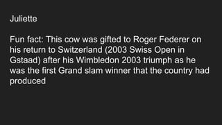 Juliette
Fun fact: This cow was gifted to Roger Federer on
his return to Switzerland (2003 Swiss Open in
Gstaad) after his Wimbledon 2003 triumph as he
was the first Grand slam winner that the country had
produced
 