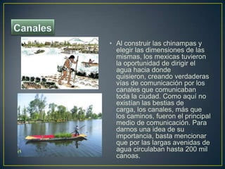 Canales<br />Al construir las chinampas y elegir las dimensiones de las mismas, los mexicas tuvieron la oportunidad de dir...