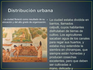 Distribución urbana<br />La ciudad estaba dividida en barrios, llamados calpulli, cuyos habitantes disfrutaban de tierras ...