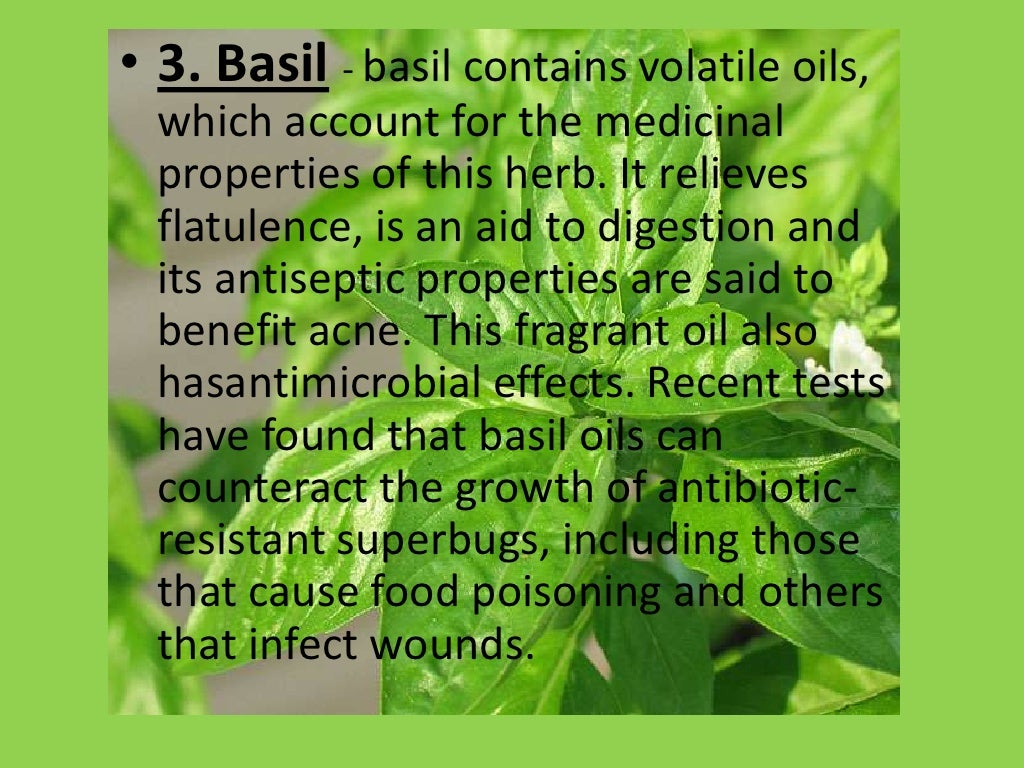 Ten of the most powerful healing herbs and spices