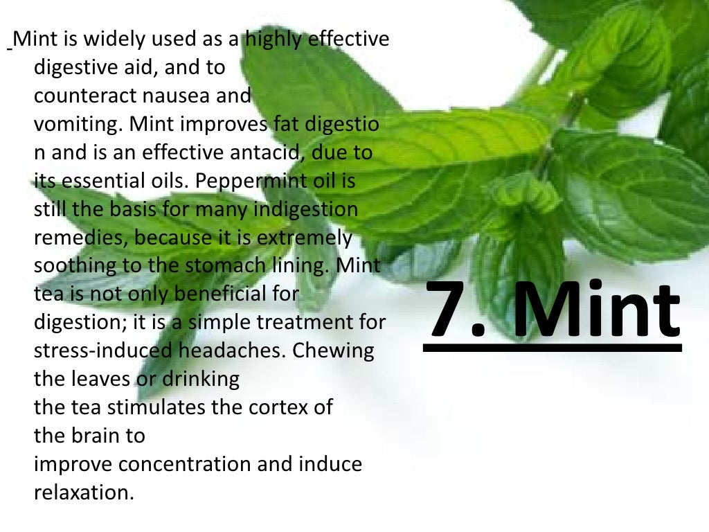 Ten of the most powerful healing herbs and spices