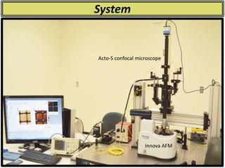 System
Innova AFM
Acto-S confocal microscope