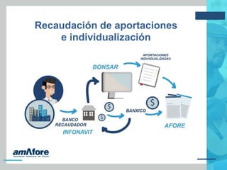 Recaudación de aportaciones
e individualización
 