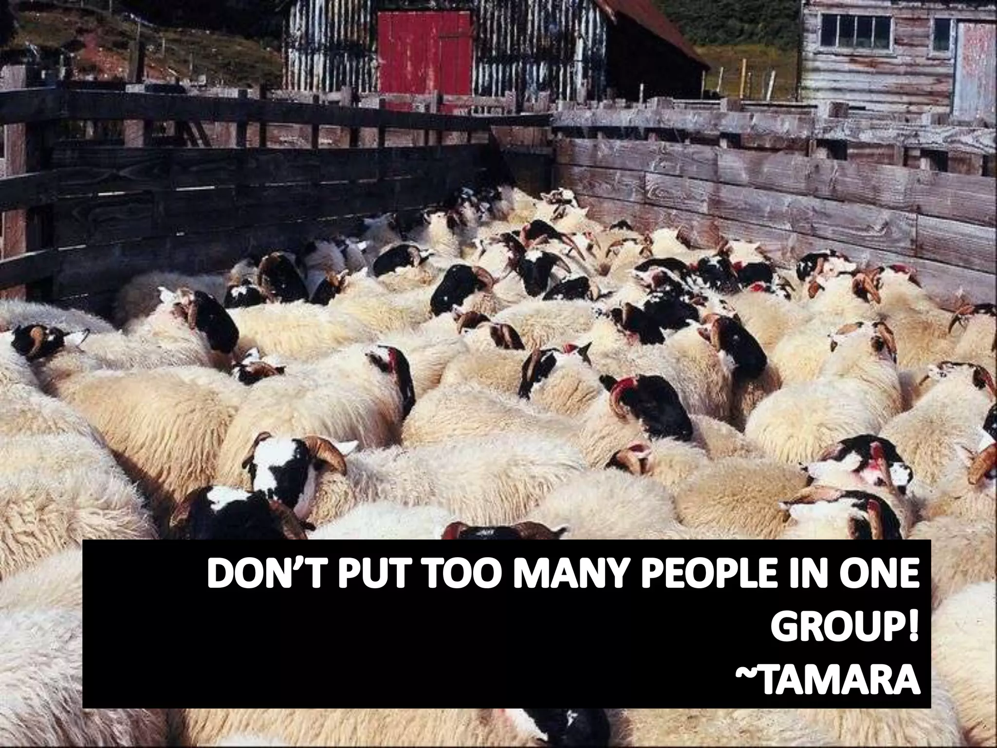Don’t put too many people in one group!~Tamara