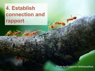 Brunel University London
4. Establish
connection and
rapport
6
Photo by Poranimm Athithawatthee
 