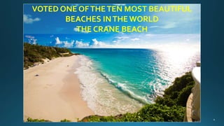 VOTED ONE OFTHETEN MOST BEAUTIFUL
BEACHES INTHE WORLD
THE CRANE BEACH
 