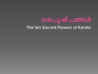 Ten sacred flowers of Kerala: ദശപുഷ്പങ്ങൾ