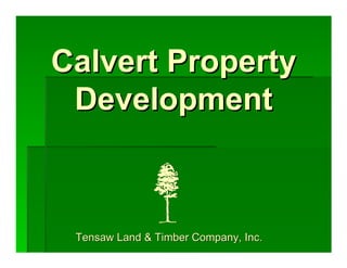 Calvert Property
 Development



 Tensaw Land & Timber Company, Inc.
 