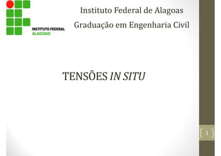 IN SITU
Instituto Federal de Alagoas
Graduação em Engenharia Civil
1
 