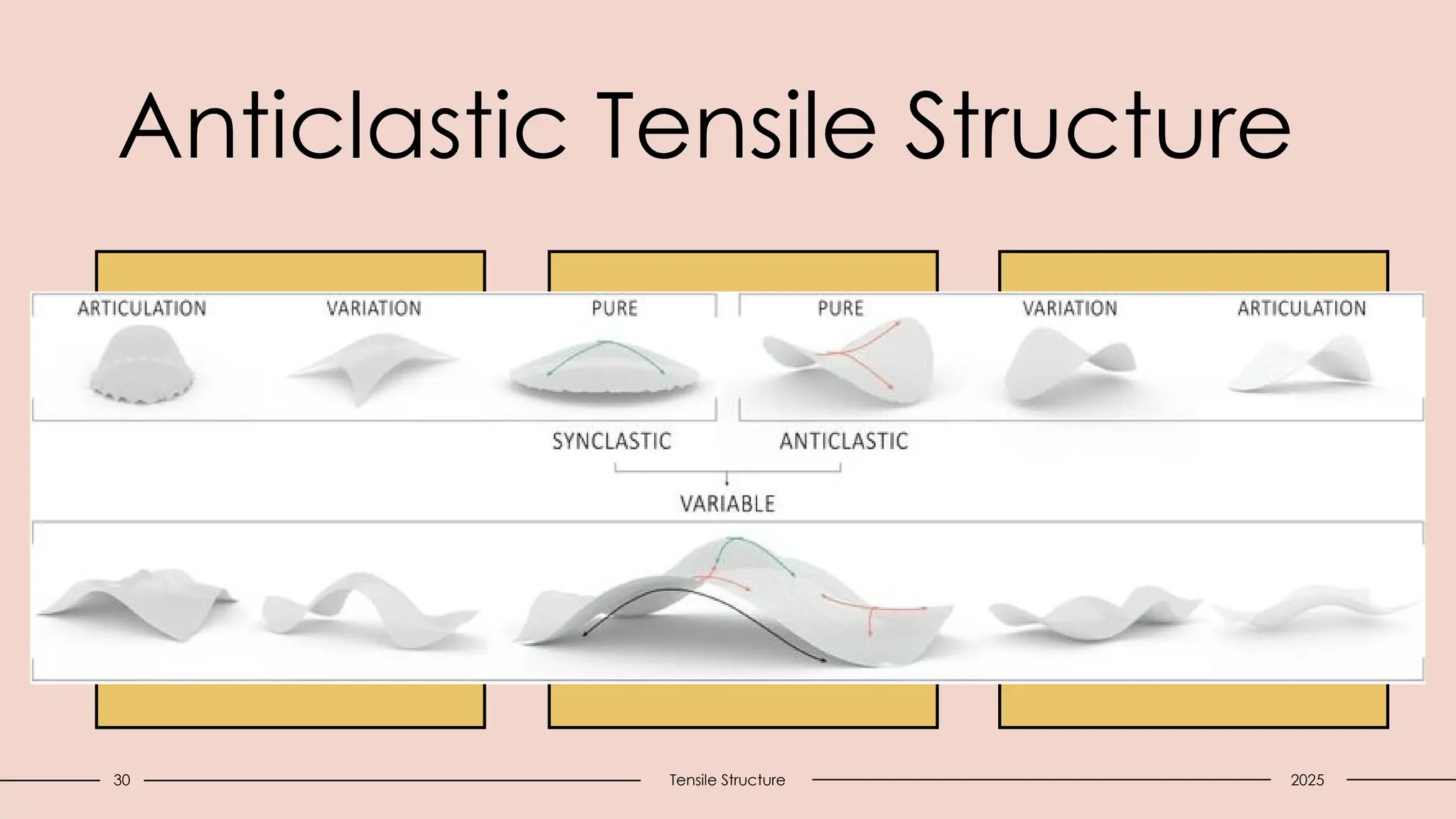 Anticlastic Tensile Structure
30 Tensile Structure 2025
 