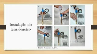 Instalação do
tensiômetro
Fonte: Boscaini et al., 2016.
 