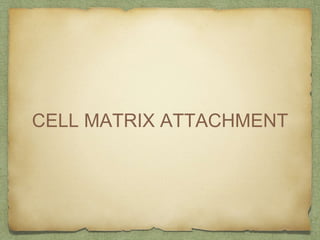 CELL MATRIX ATTACHMENT
 