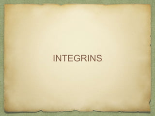 INTEGRINS
 