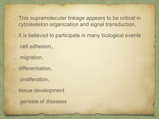 This supramolecular linkage appears to be critical in
cytoskeleton organization and signal transduction,
It is believed to participate in many biological events
cell adhesion,
migration,
differentiation,
proliferation,
tissue development
genesis of diseases
 