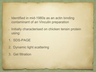 Identified in mid-1980s as an actin binding
contaminant of an Vinculin preparation
Initially characterised on chicken tensin protein
using:
1. SDS-PAGE
2. Dynamic light scattering
3. Gel filtration
 