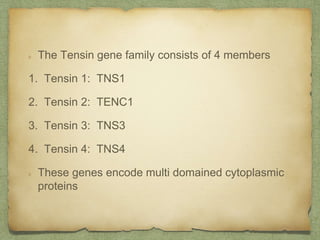 The Tensin gene family consists of 4 members
1. Tensin 1: TNS1
2. Tensin 2: TENC1
3. Tensin 3: TNS3
4. Tensin 4: TNS4
These genes encode multi domained cytoplasmic
proteins
 