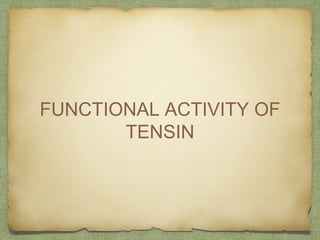 FUNCTIONAL ACTIVITY OF
TENSIN
 